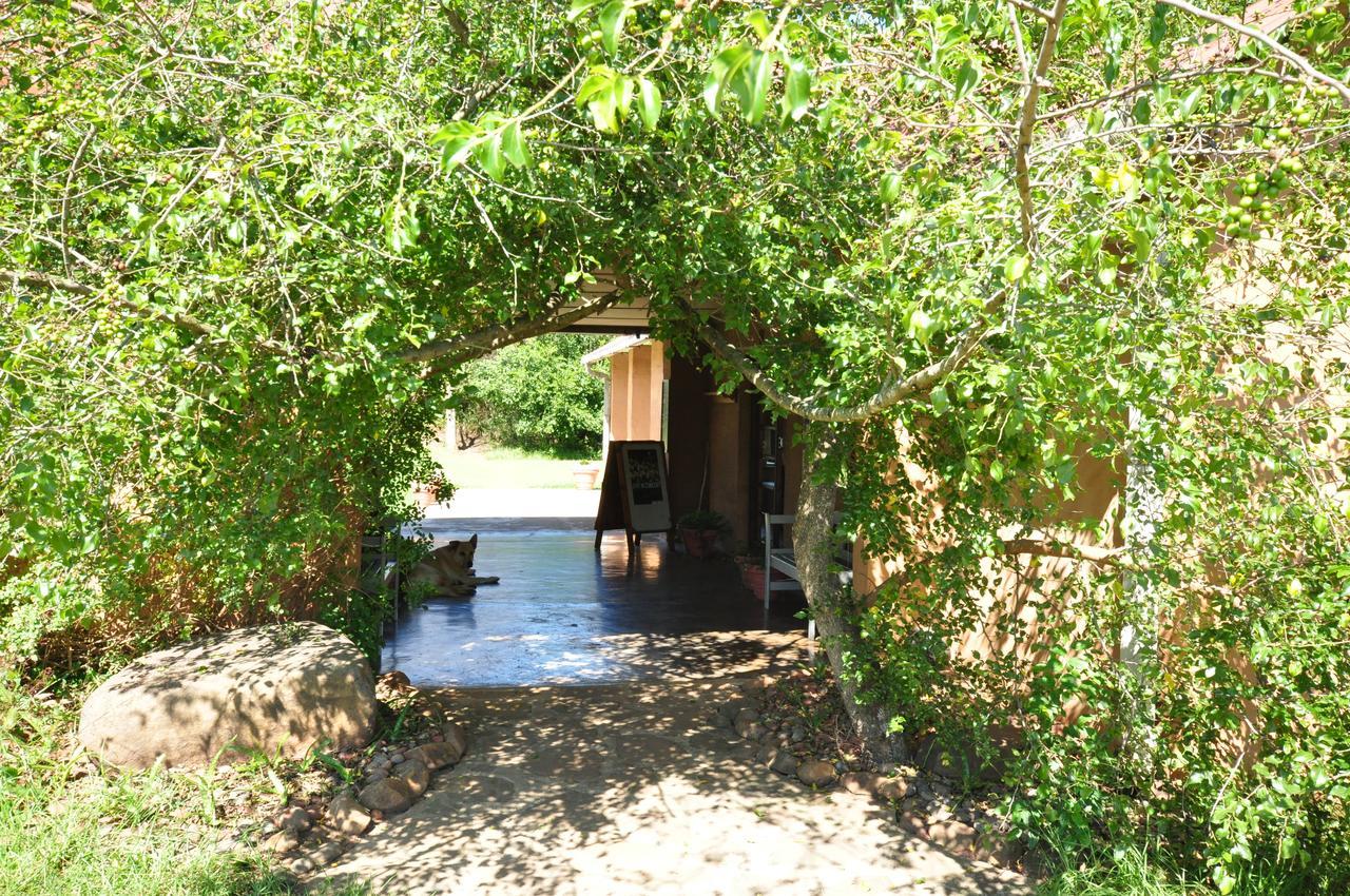 Drakensberg Inkosana Lodge Champagne Valley Exterior foto